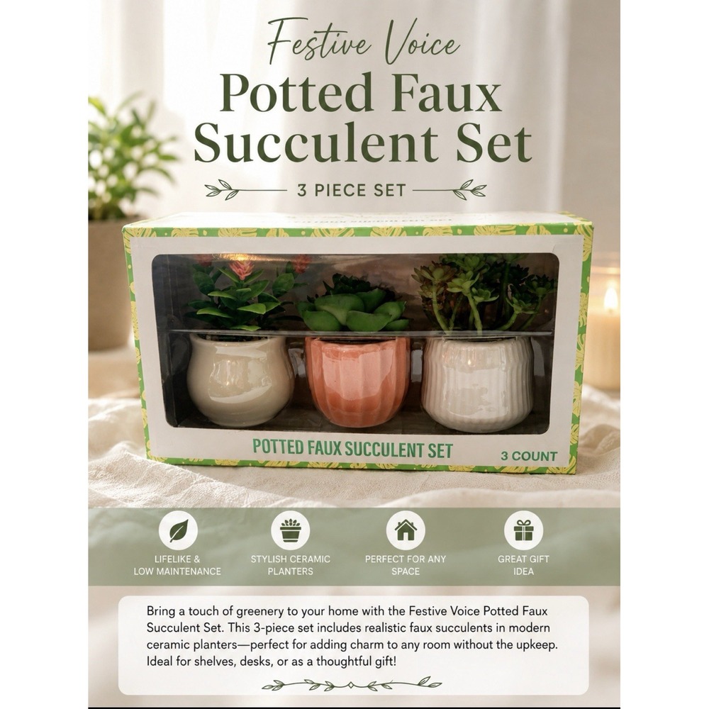Festive Voice Potted Faux Succulent Set 3 Count Artificial Plants Ceramic Pots